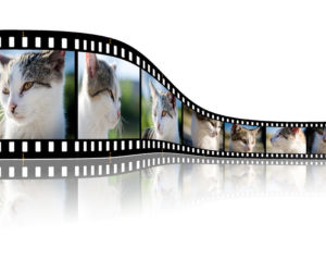 Warsztaty animacji filmowej