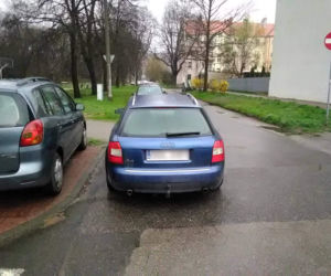 Blokują chodniki i ulice. Stają na przystankach i ścieżkach rowerowych. Oto Mistrzowie Parkowania z Gliwic [ZDJĘCIA]