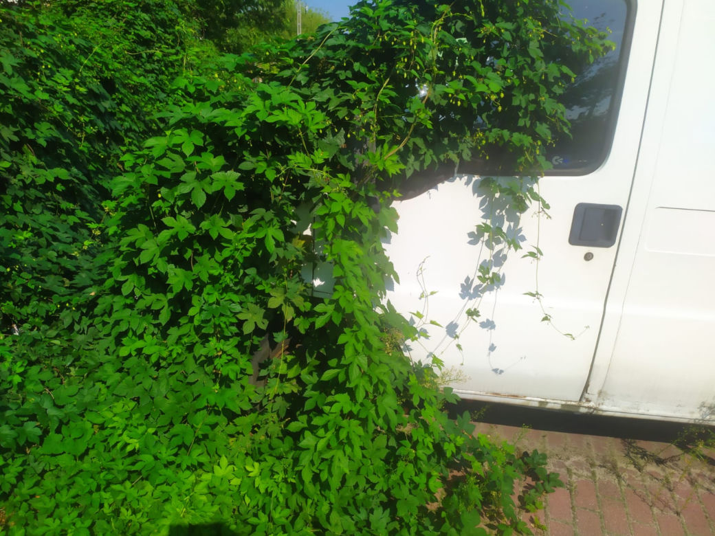 Szpecą i zajmują miejsca parkingowe. Wraki na ulicach Starachowic