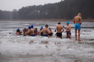 Lodowata woda, gorące emocje. Morsy znów opanowały jezioro pod Bydgoszczą