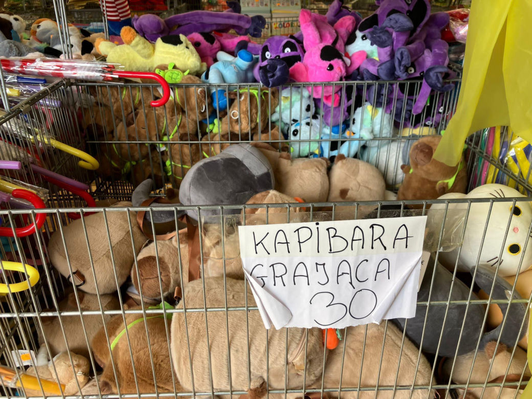 Krynica Morska to popularne miejsce na urlop. Jakie sątu ceny?