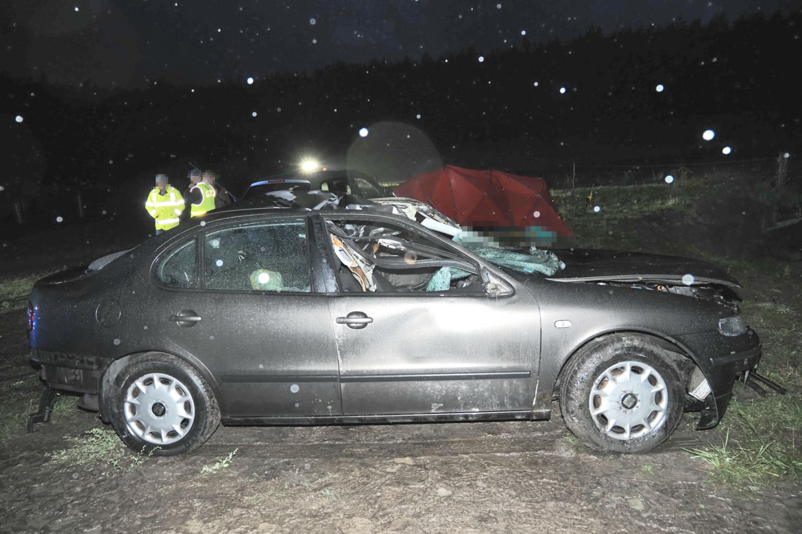 Tragiczna śmierć młodej kobiety w stawie! Wcześniej uderzyła autem w łosia [ZDJĘCIA]