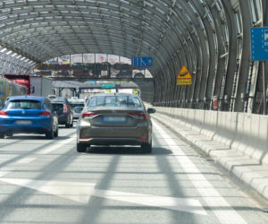 Poseł PiS przejechał 10 km po karmę dla kota