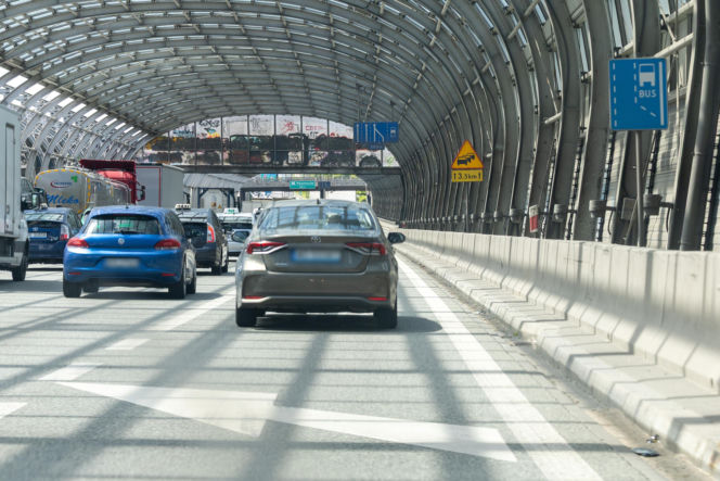 Poseł PiS przejechał 10 km po karmę dla kota