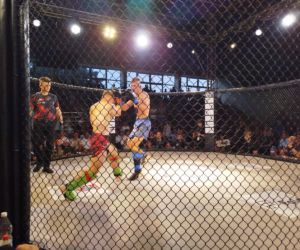 Fotorelacja z Gali Sportów Walki Taurus Fight Arena 2026 w Siedlcach