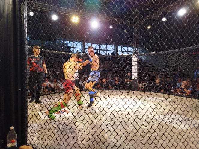 Fotorelacja z Gali Sportów Walki Taurus Fight Arena 2026 w Siedlcach