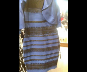 The Dress