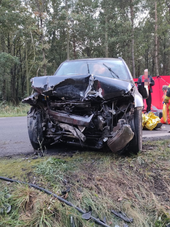 Wypadek pod Kościanem. Zderzenie samochodu z jeleniem doprowadziło do czołówki