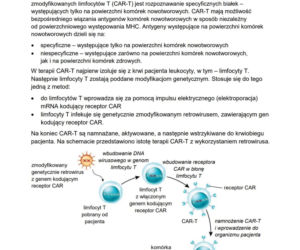 Matura 2026 z biologii ROZSZERZONEJ: odpowiedzi do wszystkich zadań z arkusza CKE 8.05.2026