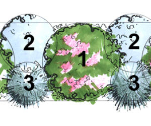 Rośliny do skrzynki na słoneczny balkon
