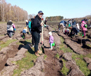 Akcja Grudziądzanie sadzą las!