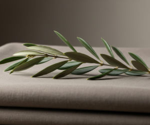 Portugalia wyśle wojska na Ukrainę. Czy to przełom w europejskiej strategii?