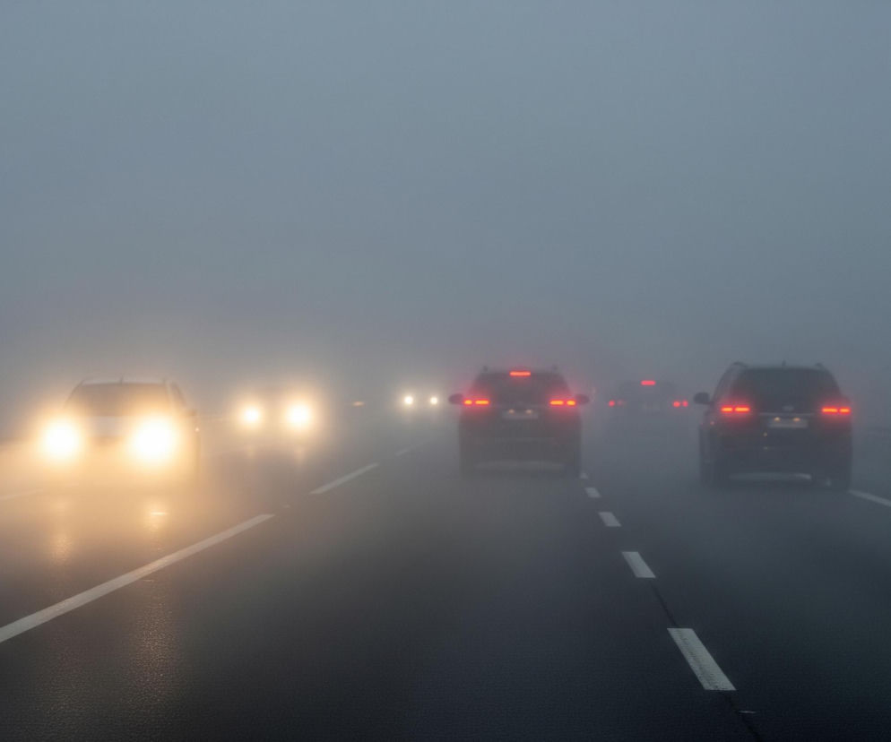 Na ciemnym, mokrym asfalcie autostrady poruszają się samochody w gęstej, szarej mgle. Przednia część kadru ukazuje widok z wnętrza pojazdu, skierowany w stronę drogi. Po lewej stronie jezdni widoczne są dwa samochody jadące z naprzeciwka, ich jasne, żółte reflektory przebijają mgłę, rozświetlając obszar wokół nich. Po prawej stronie, w oddali, znajdują się trzy samochody jadące w tym samym kierunku, co obserwator, ich czerwone światła tylne są lekko rozmyte przez mgłę. Białe, przerywane i ciągłe linie oddzielają pasy ruchu na ciemnym asfalcie. Po bokach drogi widoczne są metalowe barierki ochronne, ledwo zarysowane w mlecznej szarości. Cały krajobraz jest zdominowany przez mgłę, która ogranicza widoczność, nadając scenie eteryczny i nieco niepokojący charakter.