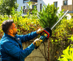 Murator Ogroduje, realizacje