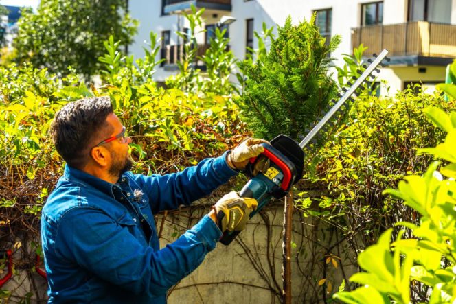 Murator Ogroduje, realizacje