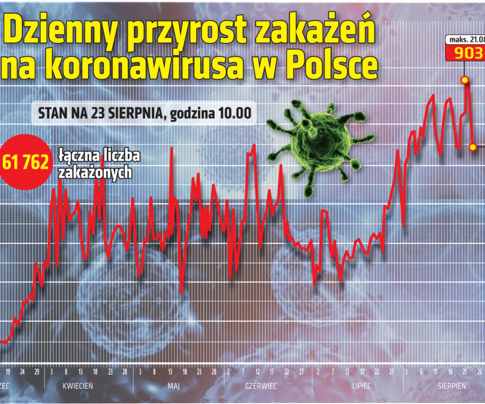 Koronawirus w Polsce. Wykresy 23.08.2020