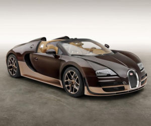 Rembrandt Bugatti Veyron Grand Sport Vitesse