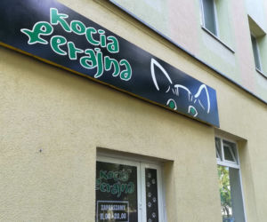 Kocia Ferajna