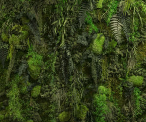 Green Decor