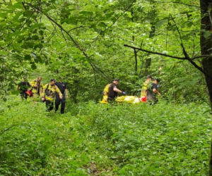 Osiedle Wilga. Zaginiona 67-latka przeżyła w lesie 5 dni! Nawet policjanci nie dowierzali [ZDJĘCIA]