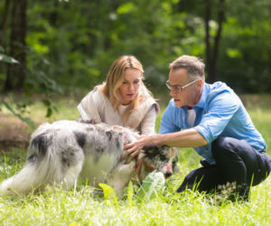 Na Wspólnej odc. 3120. Monika (Sylwia Gliwa), Damian (Waldemar Błaszczyk)