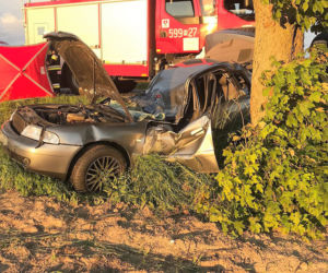Przasnysz. ROZTRZASKAŁ audi o drzewo! 20-latek zginął na miejscu!