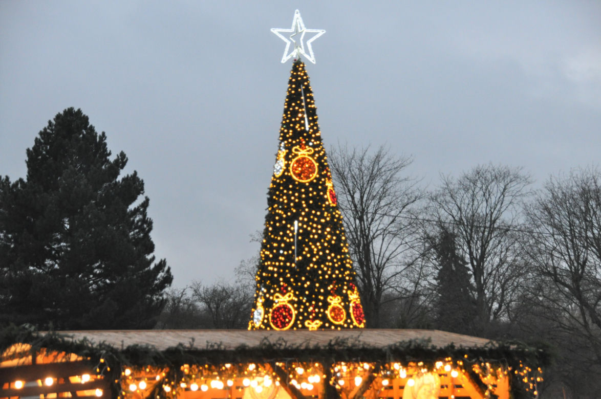 Świąteczne iluminacje na deptaku i Placu Artystów w Kielcach