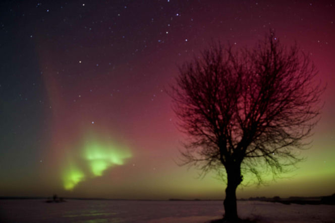 Niesamowite zjawisko nad Świętokrzyskim. Zorza polarna rozświetliła niebo!