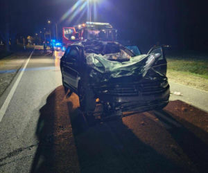 Tragiczny wypadek pod Włocławkiem. Znany ksiądz walczy o życie po zderzeniu z łosiem