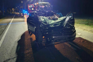 Tragiczny wypadek pod Włocławkiem. Znany ksiądz walczy o życie po zderzeniu z łosiem