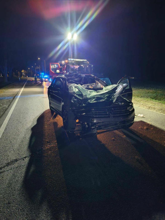 Tragiczny wypadek pod Włocławkiem. Znany ksiądz walczy o życie po zderzeniu z łosiem
