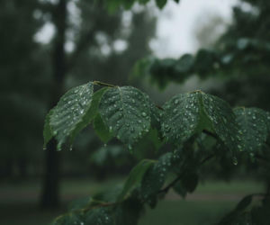 Weekend w Szczecinie z wyraźną zmianą pogody. Jeden dzień może pokrzyżować plany