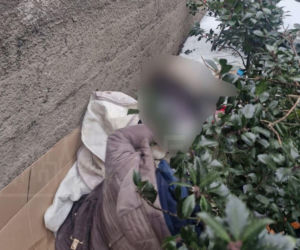 Makabryczne odkrycie w centrum Warszawy. W krzakach leżały zwłoki kobiety!