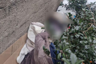 Makabryczne odkrycie w centrum Warszawy. W krzakach leżały zwłoki kobiety!