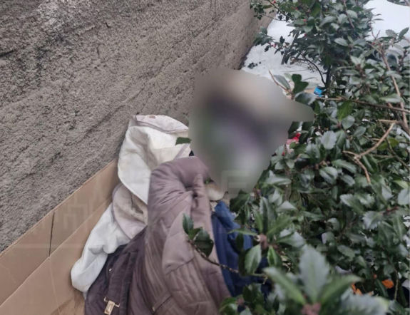 Makabryczne odkrycie w centrum Warszawy. W krzakach leżały zwłoki kobiety!