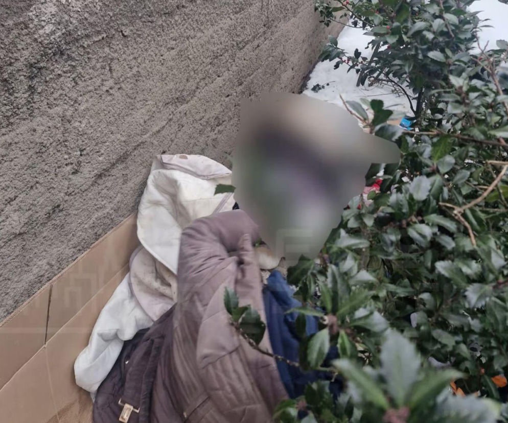 Makabryczne odkrycie w centrum Warszawy. W krzakach leżały zwłoki kobiety!