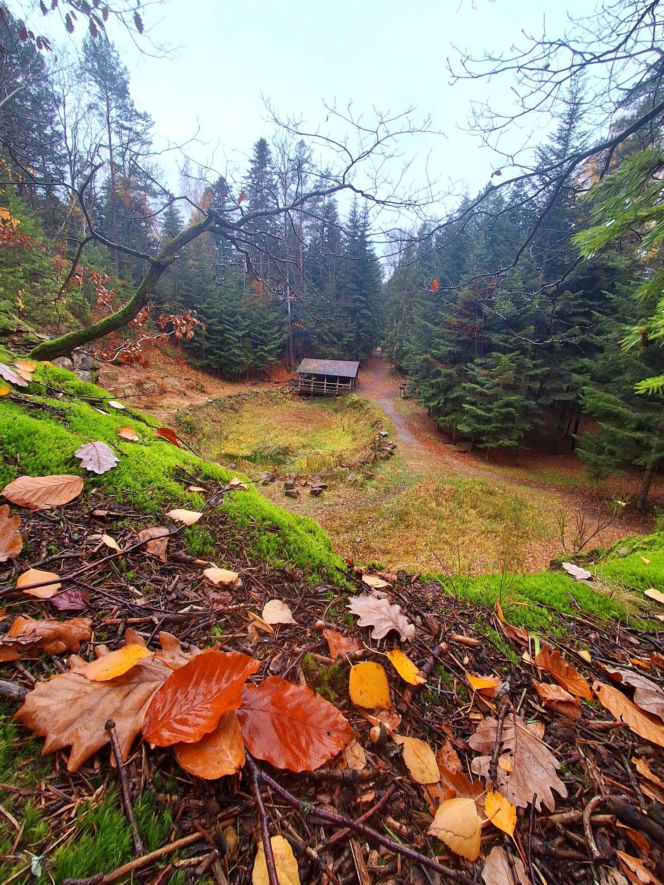 Oczy Ziemi w Świętokrzyskiem – mało znana atrakcja, która zachwyca turystów