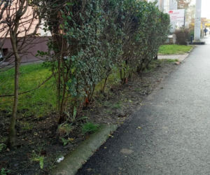 Ulica Pierwszej Brygady w Stargardzie po przebudowie