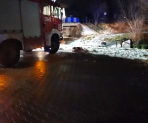 Koszmar pod Lublinem! Auto PEŁNE nastolatków dachowało w rzece! Mamy zdjęcia 