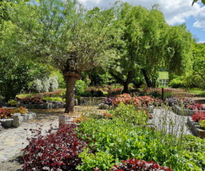 Ogród Botaniczny w Zabrzu