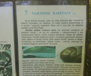 ESC w Ogrodzie Botanicznym UKW