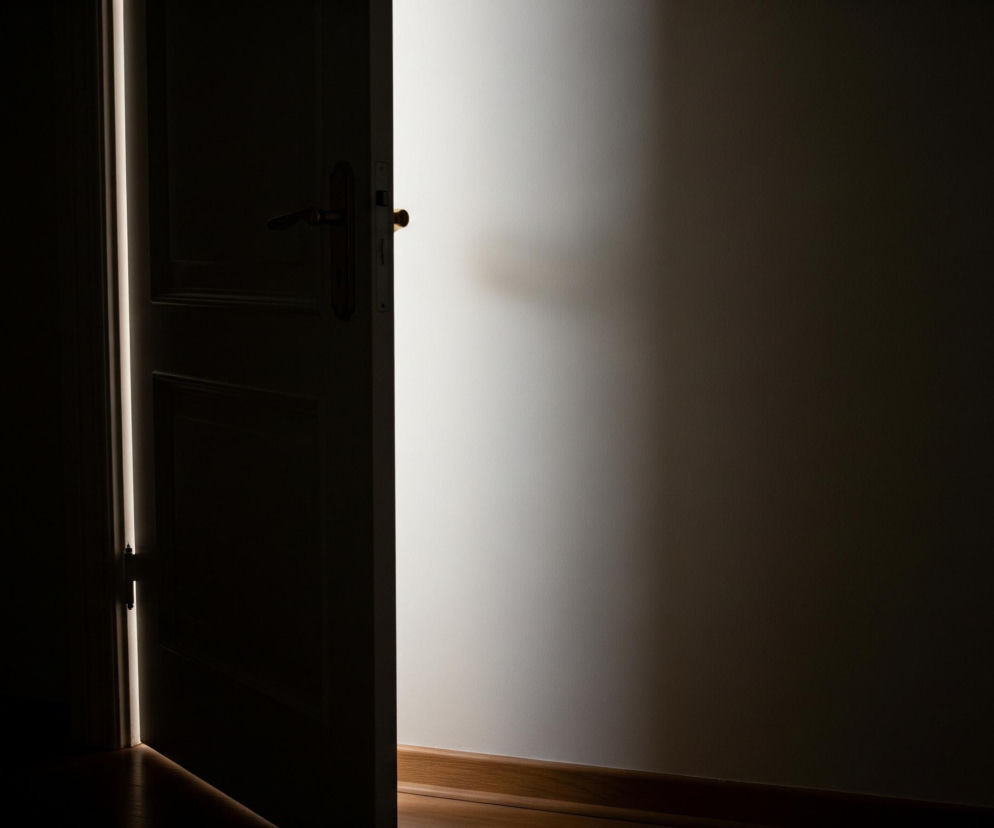 Częściowo otwarte, ciemne drzwi po lewej stronie kadru, z pionową szczeliną jasnego światła pomiędzy nimi a futryną. Złota klamka i zamek są widoczne na drzwiach. Po prawej stronie widoczna jest jasna ściana, oświetlona częściowo smugą światła padającego zza drzwi, tworzącą gradient cienia w kierunku prawej krawędzi. Dolna część kadru ukazuje drewnianą podłogę z widocznym cokołem wzdłuż ściany.