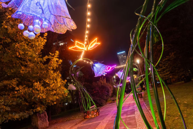 Park Świętokrzyski niczym Tajemniczy Ogród – już jutro premiera całorocznej iluminacji - ZDM Warszawa