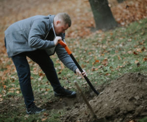 Rodzice z Płocka posadzili pierwsze drzewa z imionami swoich dzieci [ZDJĘCIA]