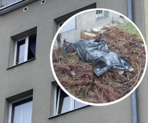 Dramat na Bielanach. Kobieta wypadła z 6 piętra