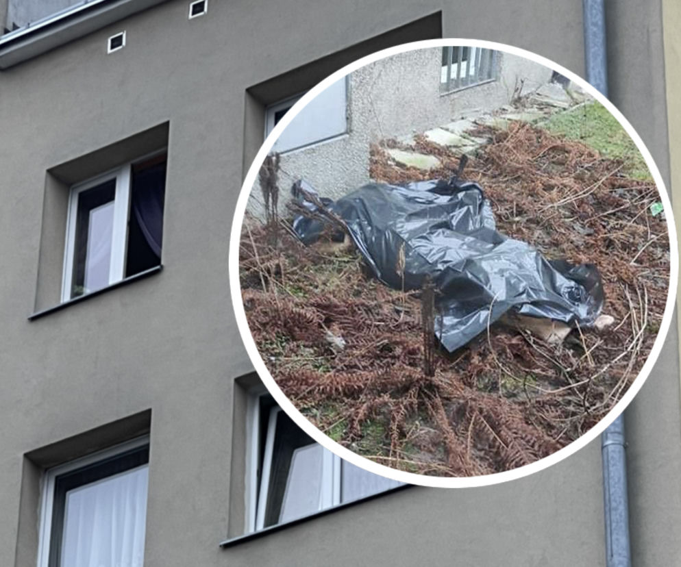 Dramat na Bielanach. Kobieta wypadła z 6 piętra