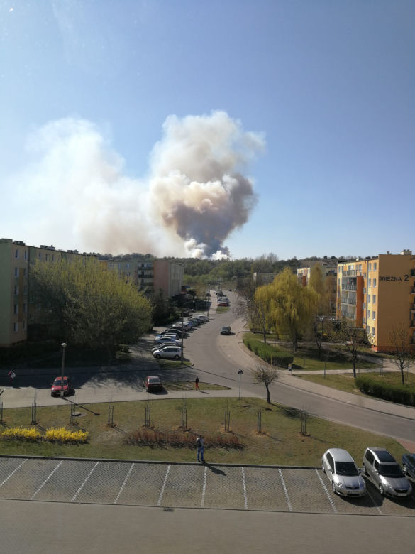 Groźny pożar lasu w bydgoskim Fordonie! [ZDJĘCIA]