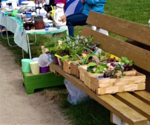 Pchli targ na Pogodnie