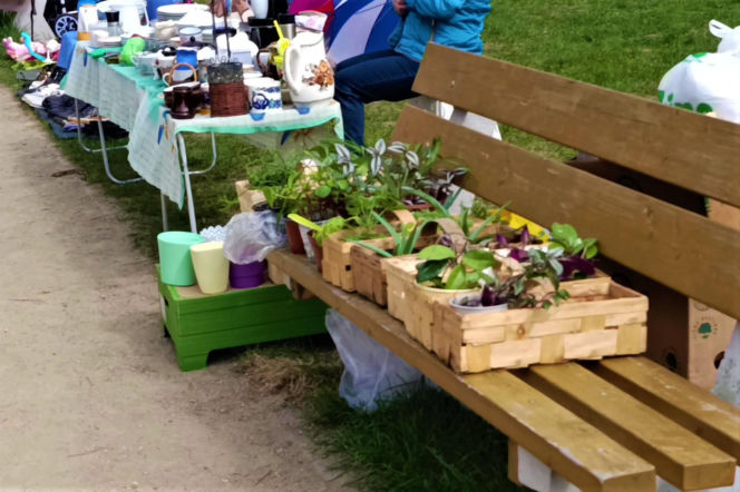 Pchli targ na Pogodnie