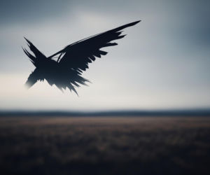 Katastrofa rosyjskiego An-26 na Krymie. Co naprawdę wydarzyło się na pokładzie?